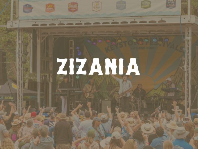 Zizania