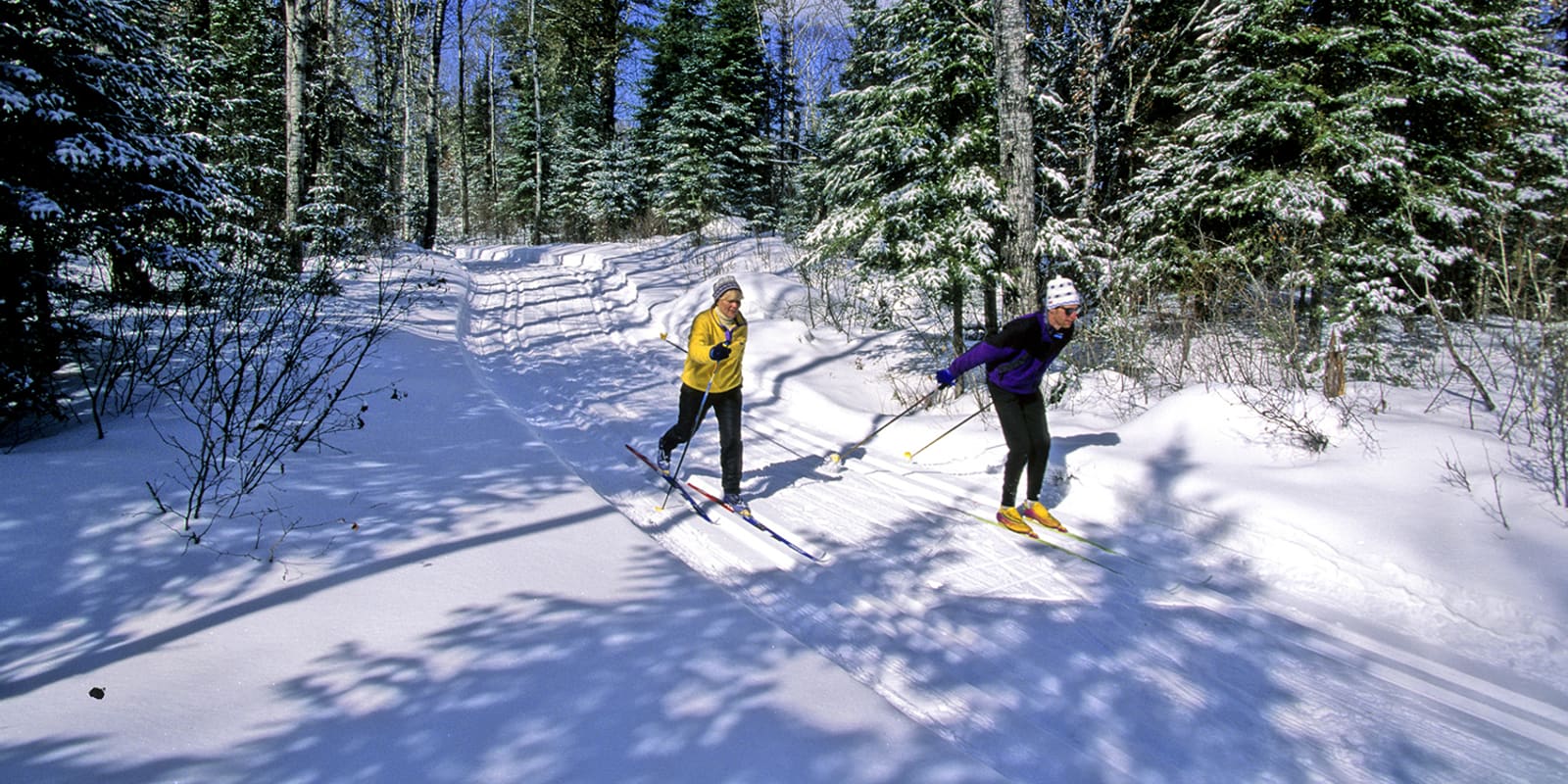 Two cross-country skiers gliding along a sunny forest trail