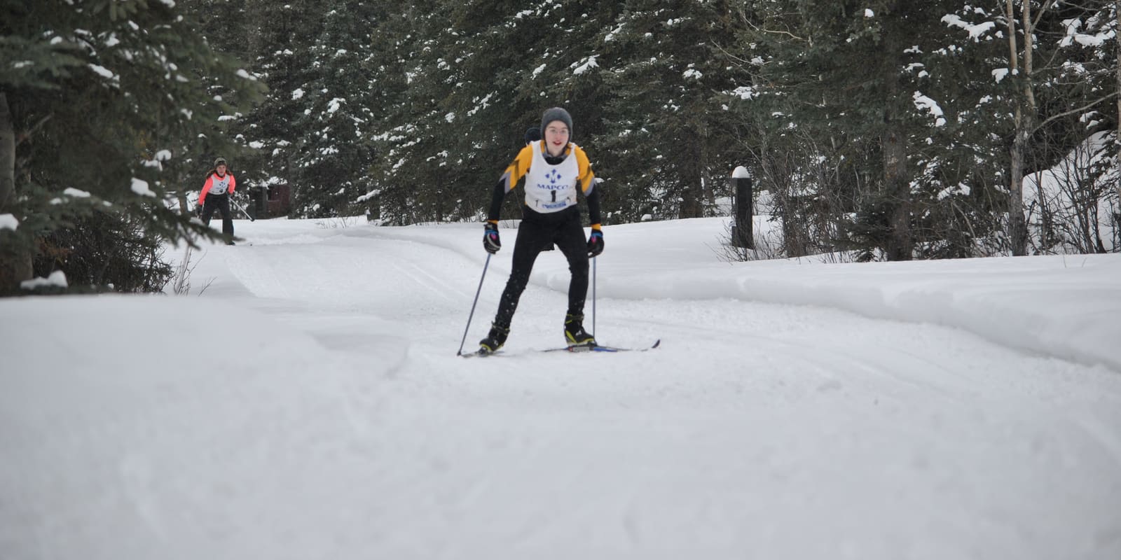 A bib-wearing Nordic ski racer striding down a snowy forest course